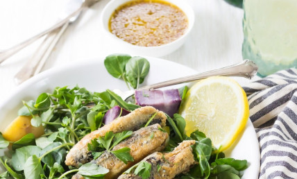 Die Plancha aus Edelstahl, unverzichtbarer Helfer für Ihre gesunde Küche im Freien