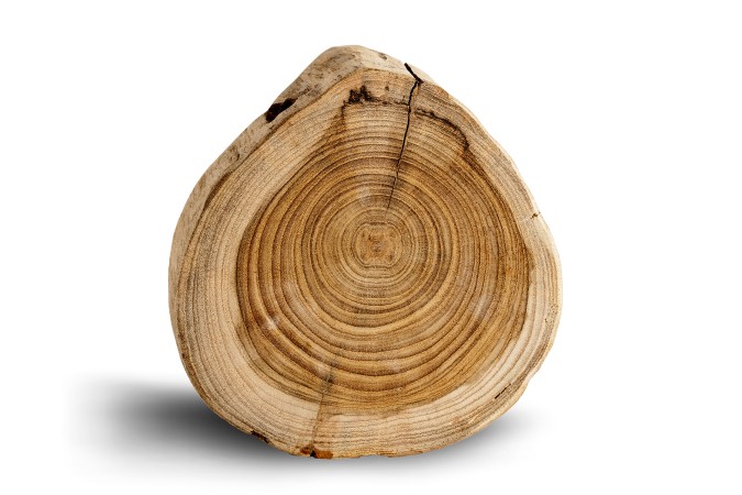 Collection Planches à découper teck - TEAKHAUS