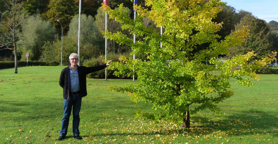 The 1990's - The 1990's – International expansion