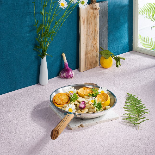 Stainless frying pan - Removable Casteline 7