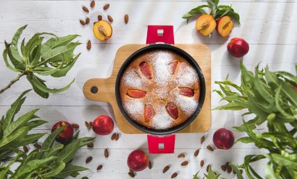 Moelleux aux nectarines